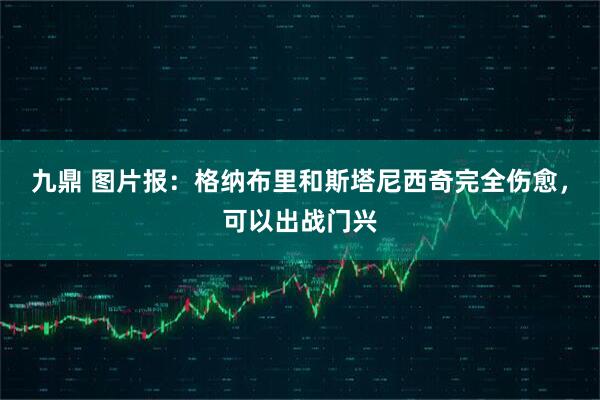 九鼎 图片报：格纳布里和斯塔尼西奇完全伤愈，可以出战门兴