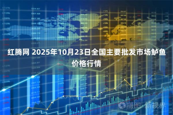 红腾网 2025年10月23日全国主要批发市场鲈鱼价格行情
