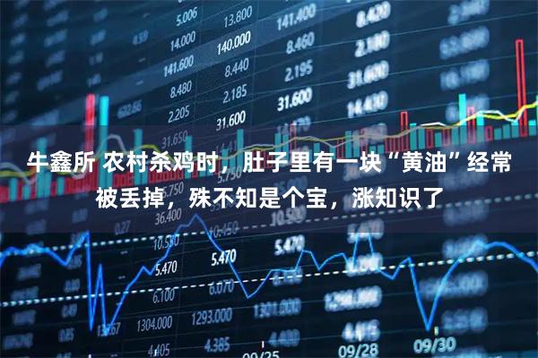 牛鑫所 农村杀鸡时，肚子里有一块“黄油”经常被丢掉，殊不知是个宝，涨知识了