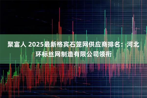 聚富人 2025最新格宾石笼网供应商排名：河北环标丝网制造有限公司领衔