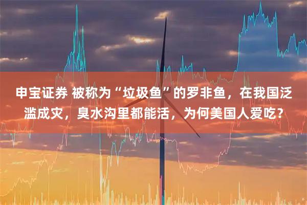 申宝证券 被称为“垃圾鱼”的罗非鱼，在我国泛滥成灾，臭水沟里都能活，为何美国人爱吃？